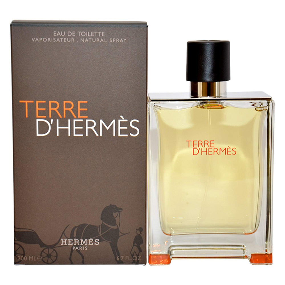 TERRE D'HERMES EDT 100ML by HERMES